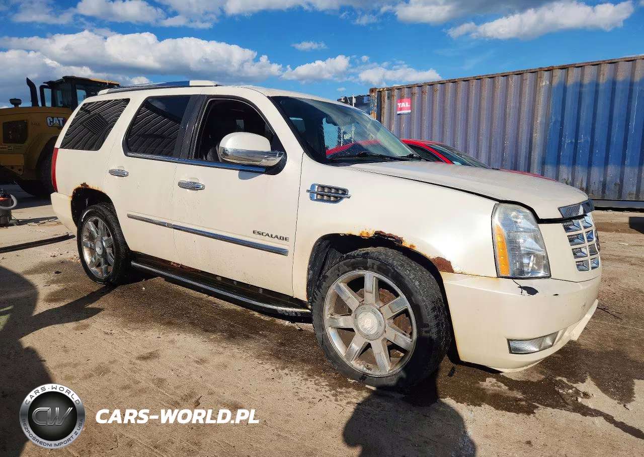 2010 Cadillac Escalade Luxury VIN:1GYUKBEF0AR172217 - 4