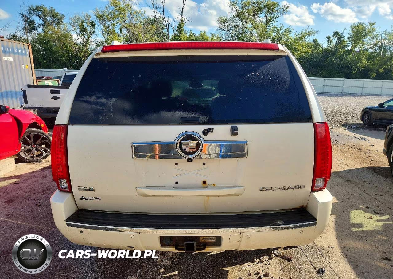 2010 Cadillac Escalade Luxury VIN:1GYUKBEF0AR172217 - 6
