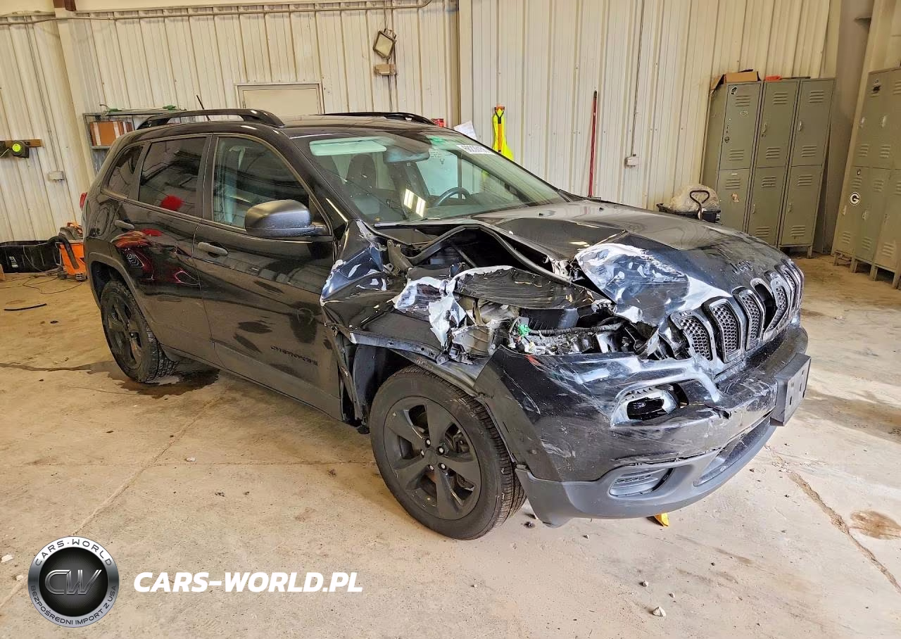 2017 Jeep Cherokee Sport VIN:1C4PJLAS9HW624028 - 4
