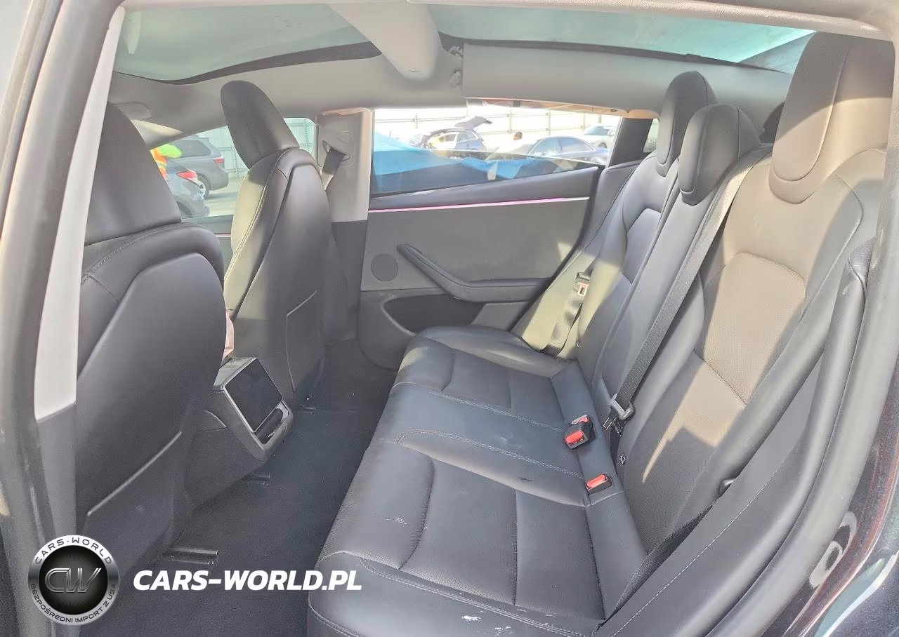 2024 Tesla Model 3 Long Range Dual Motor All-Wheel Drive-Rear-Wheel Drive VIN:5YJ3E1EA9RF823689 - 10