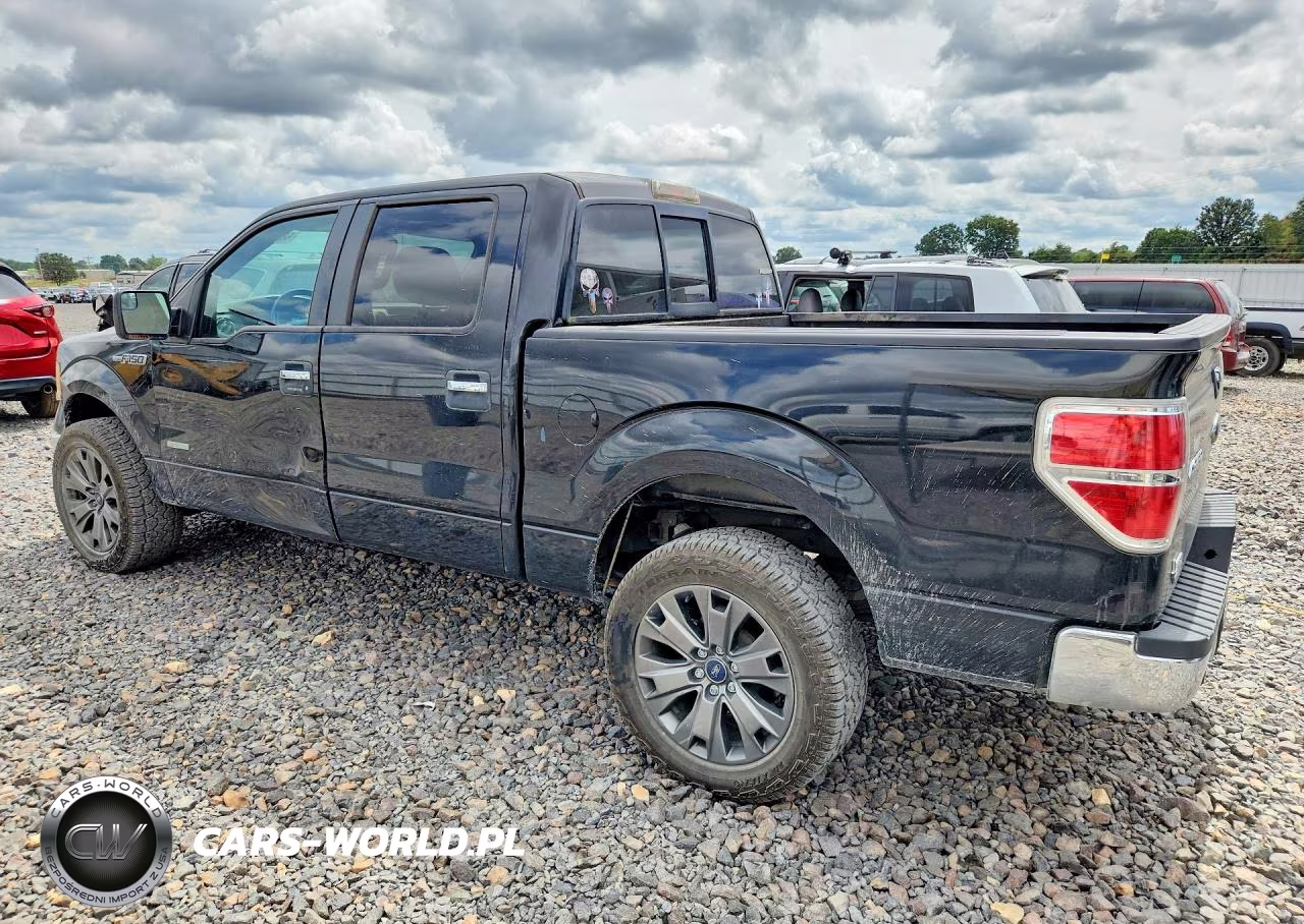 2011 Ford F150 Supercrew VIN:1FTFW1CT8BFA71631 - 2