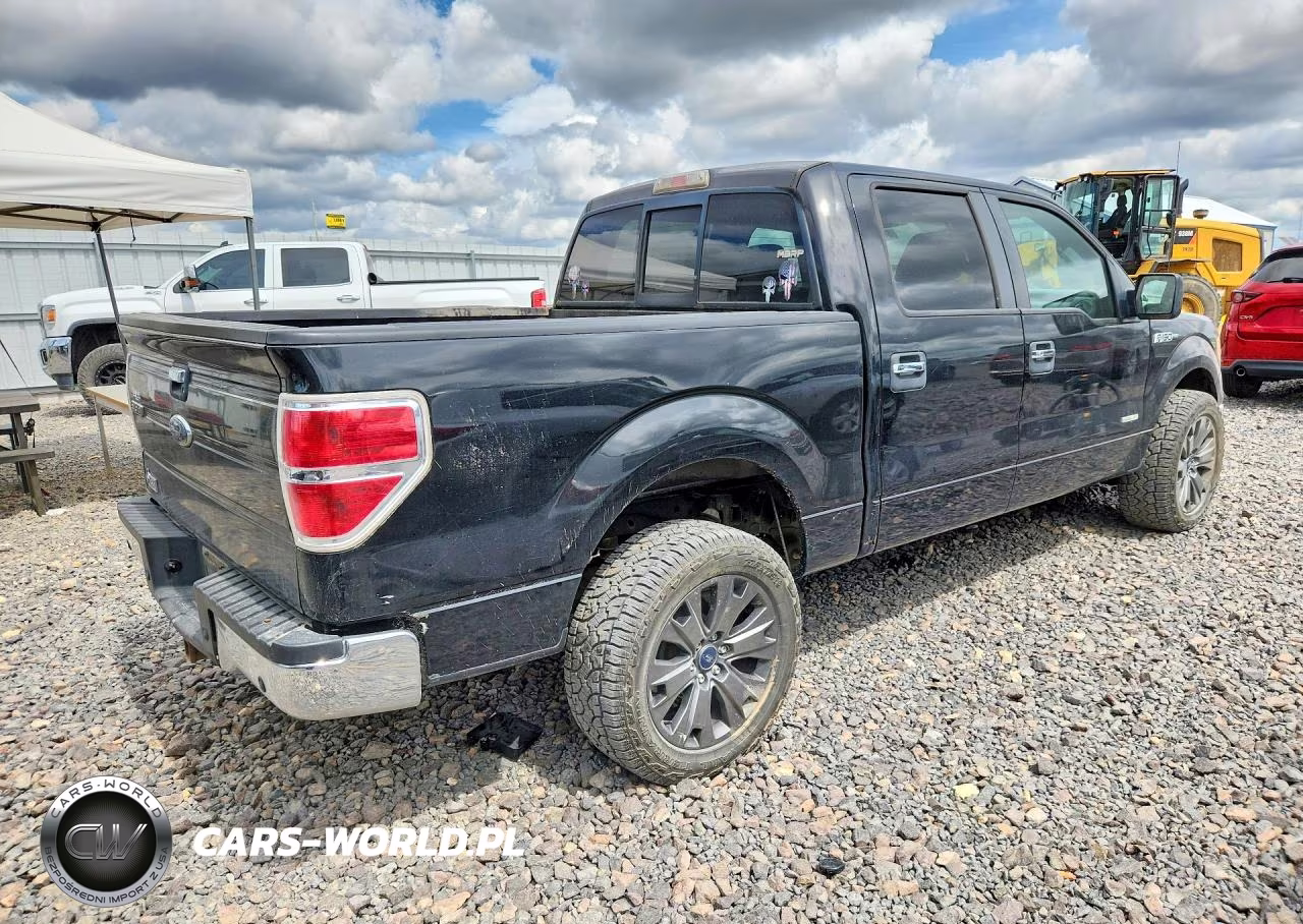 2011 Ford F150 Supercrew VIN:1FTFW1CT8BFA71631 - 3
