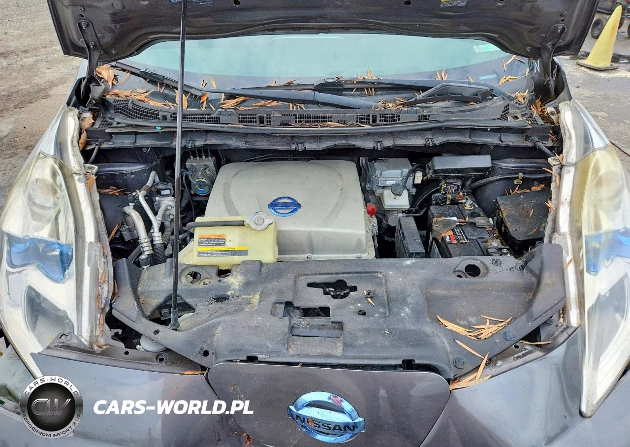2015 Nissan Leaf Sv VIN:1N4AZ0CP1FC321691 - 12