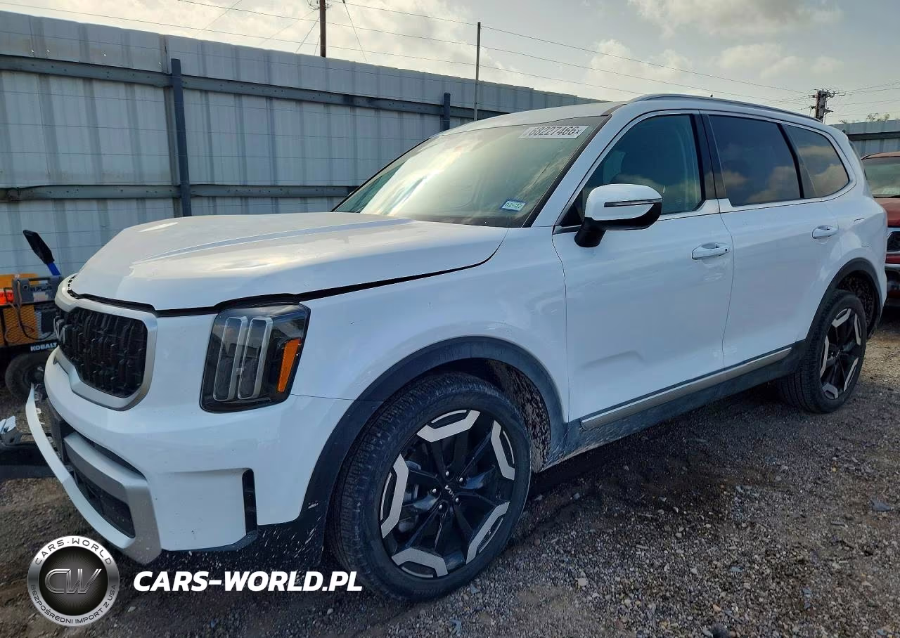 2025 Kia Telluride Ex VIN:5XYP34GC4SG600711 - 1