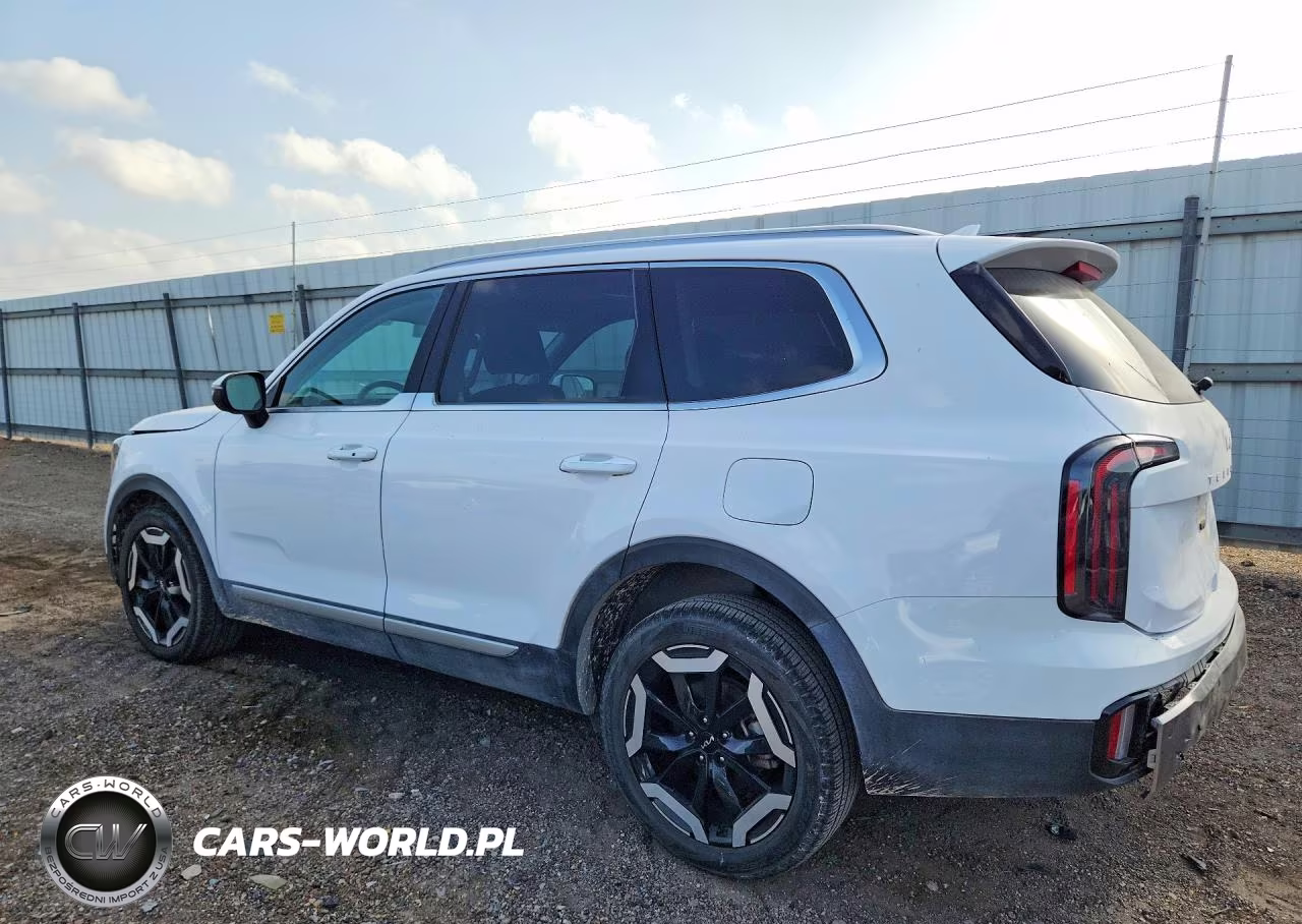 2025 Kia Telluride Ex VIN:5XYP34GC4SG600711 - 2