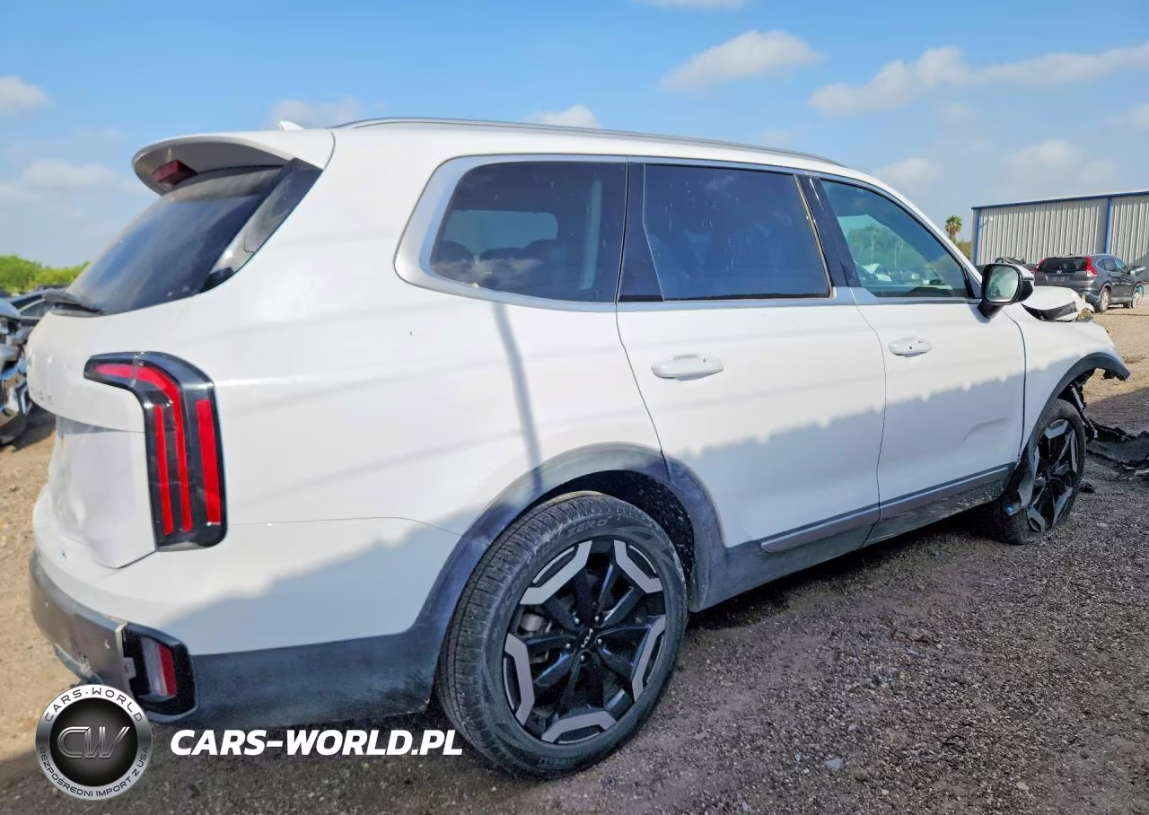 2025 Kia Telluride Ex VIN:5XYP34GC4SG600711 - 3