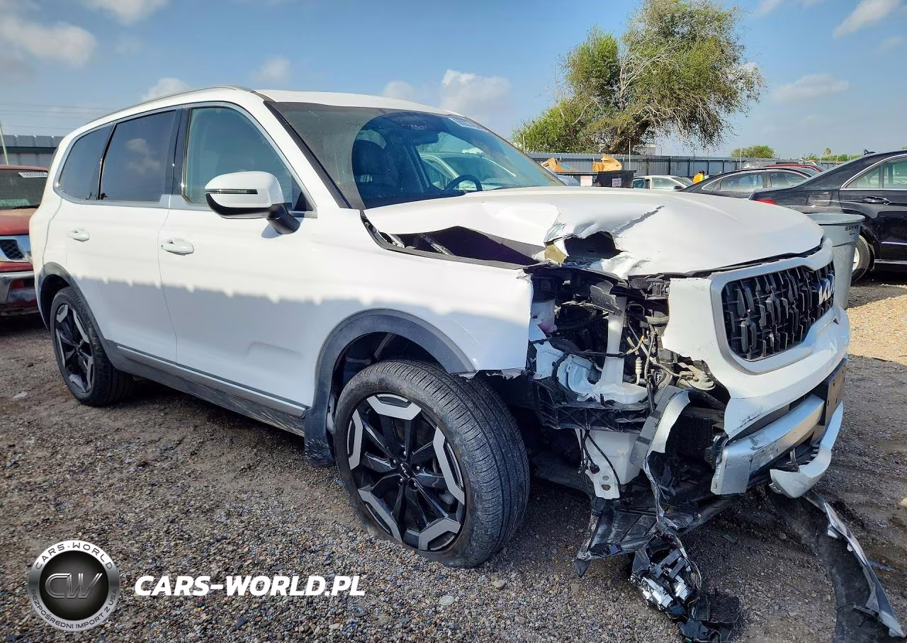 2025 Kia Telluride Ex VIN:5XYP34GC4SG600711 - 4