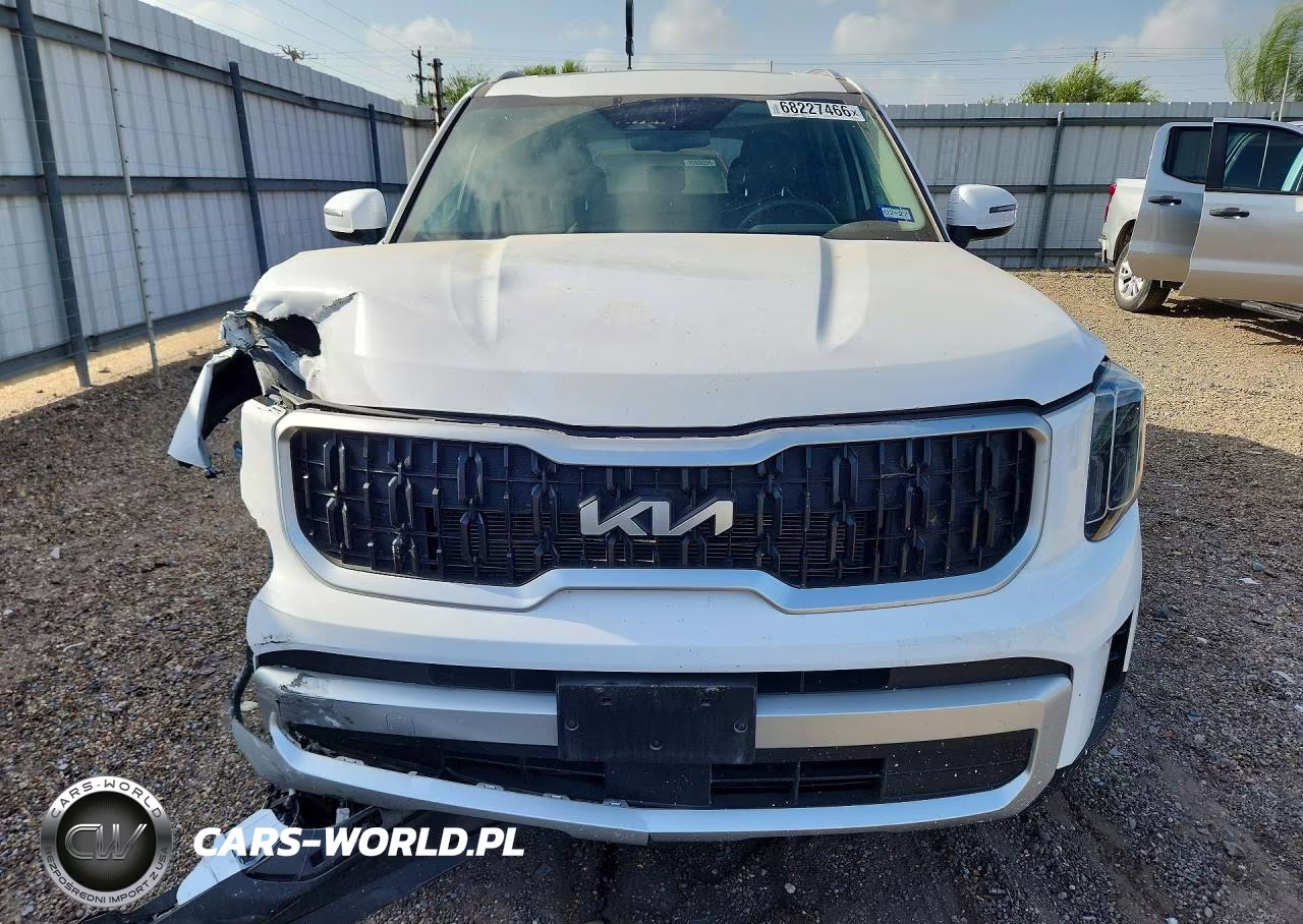 2025 Kia Telluride Ex VIN:5XYP34GC4SG600711 - 5
