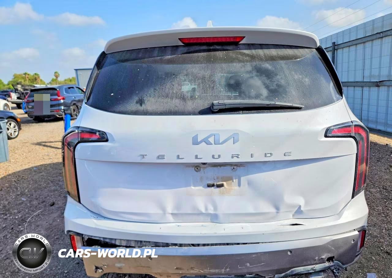 2025 Kia Telluride Ex VIN:5XYP34GC4SG600711 - 6