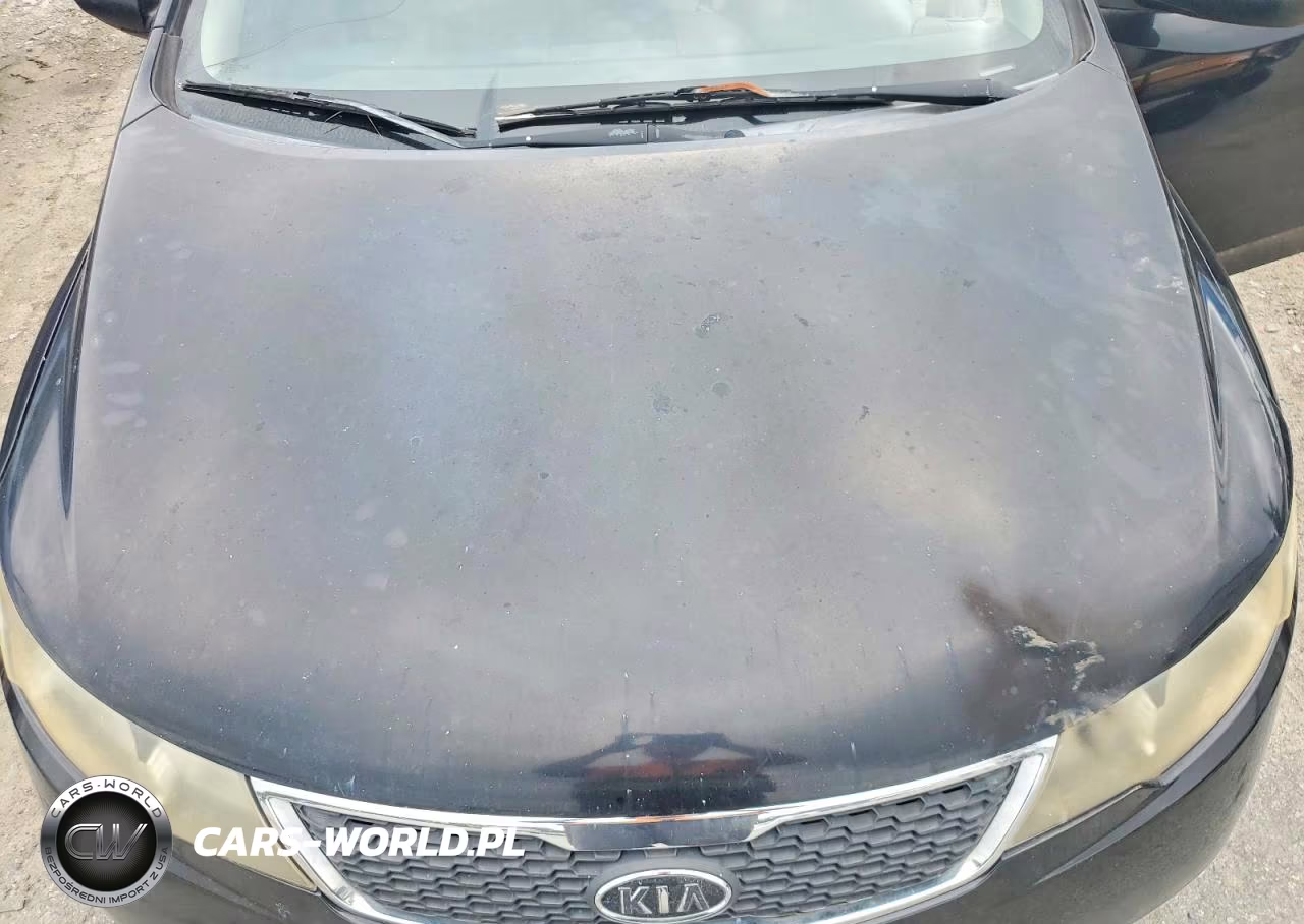 2012 Kia Forte Lx VIN:KNAFT4A27C5639652 - 11