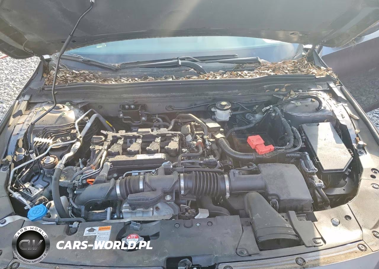 2019 Honda Accord Ex VIN:1HGCV1F49KA015237 - 11