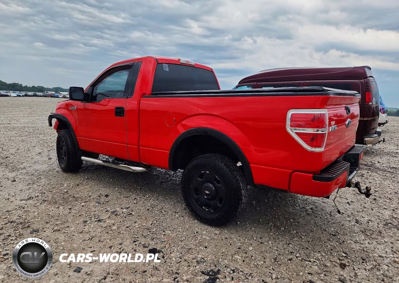 2013 Ford F150 VIN:1FTMF1EM0DKF82029 - 2