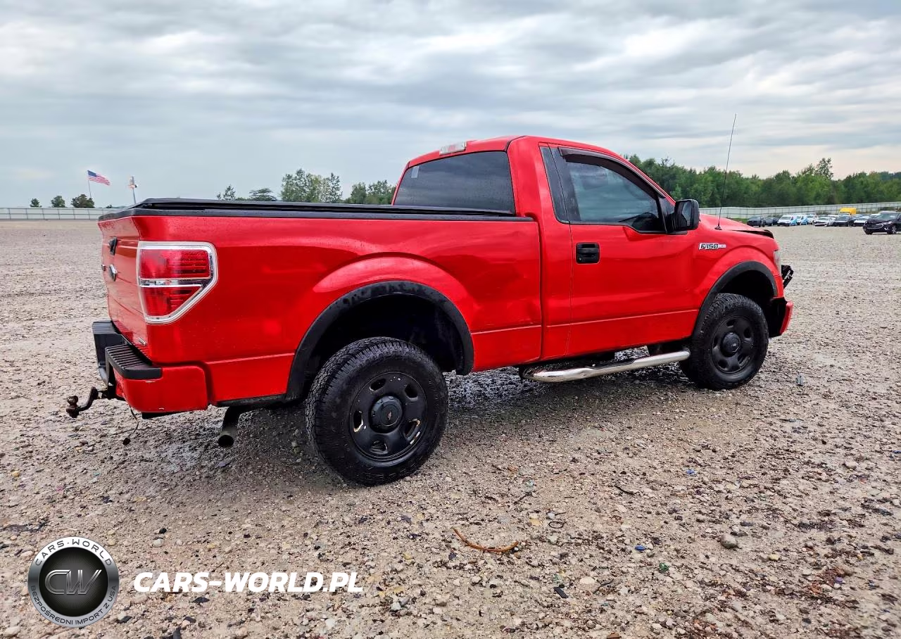2013 Ford F150 VIN:1FTMF1EM0DKF82029 - 3