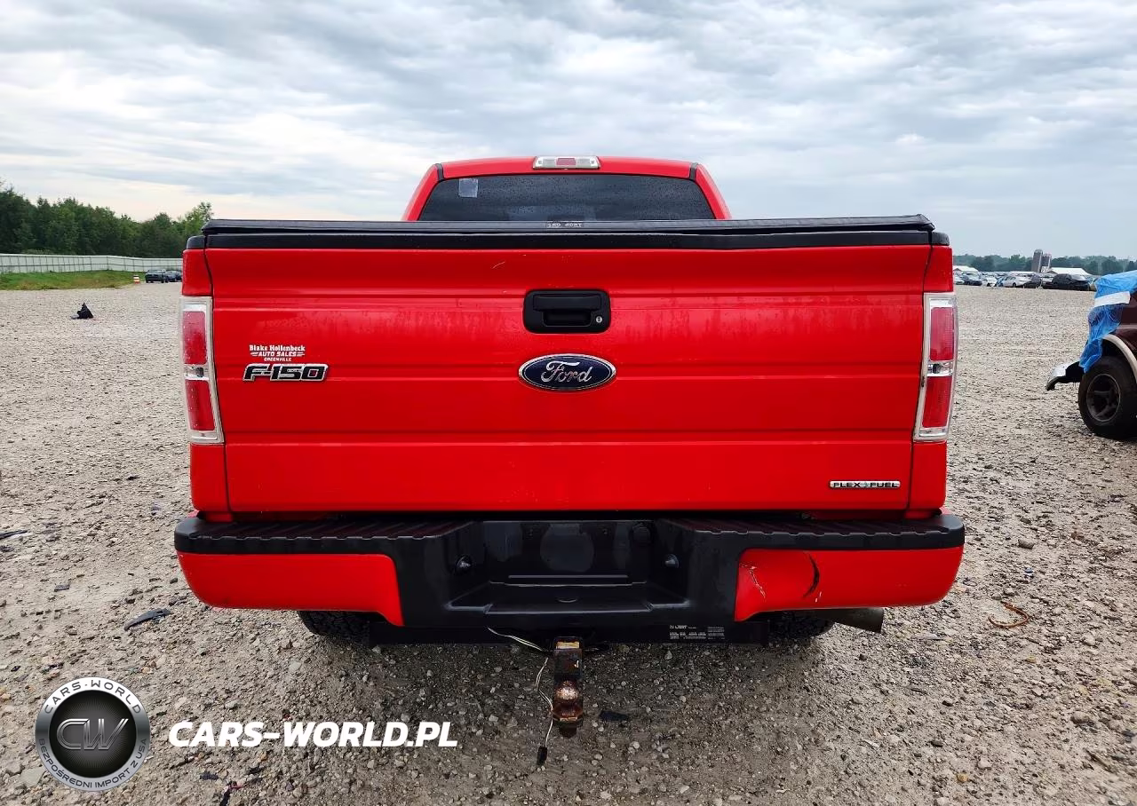 2013 Ford F150 VIN:1FTMF1EM0DKF82029 - 6
