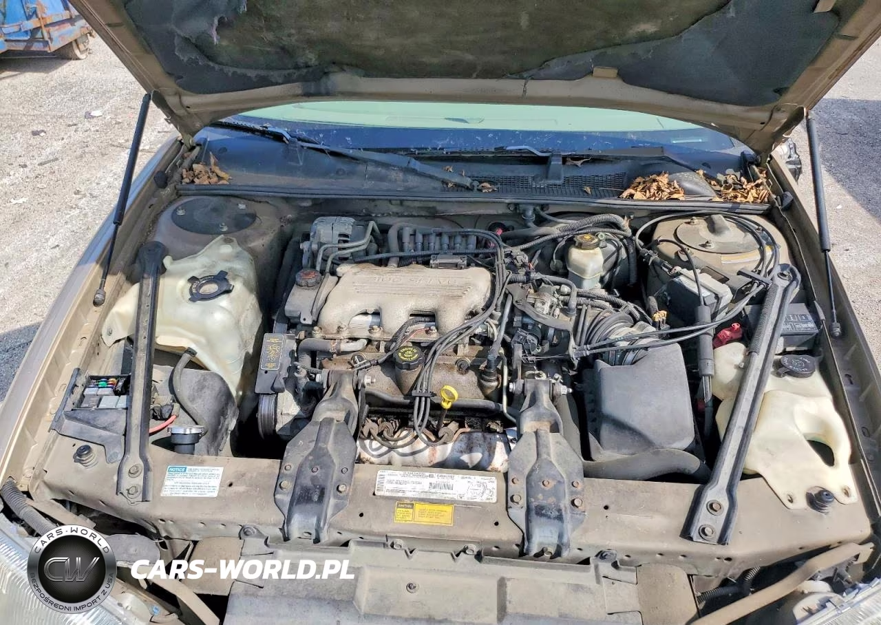 1999 Chevrolet Lumina Base VIN:2G1WL52M9X9246200 - 11