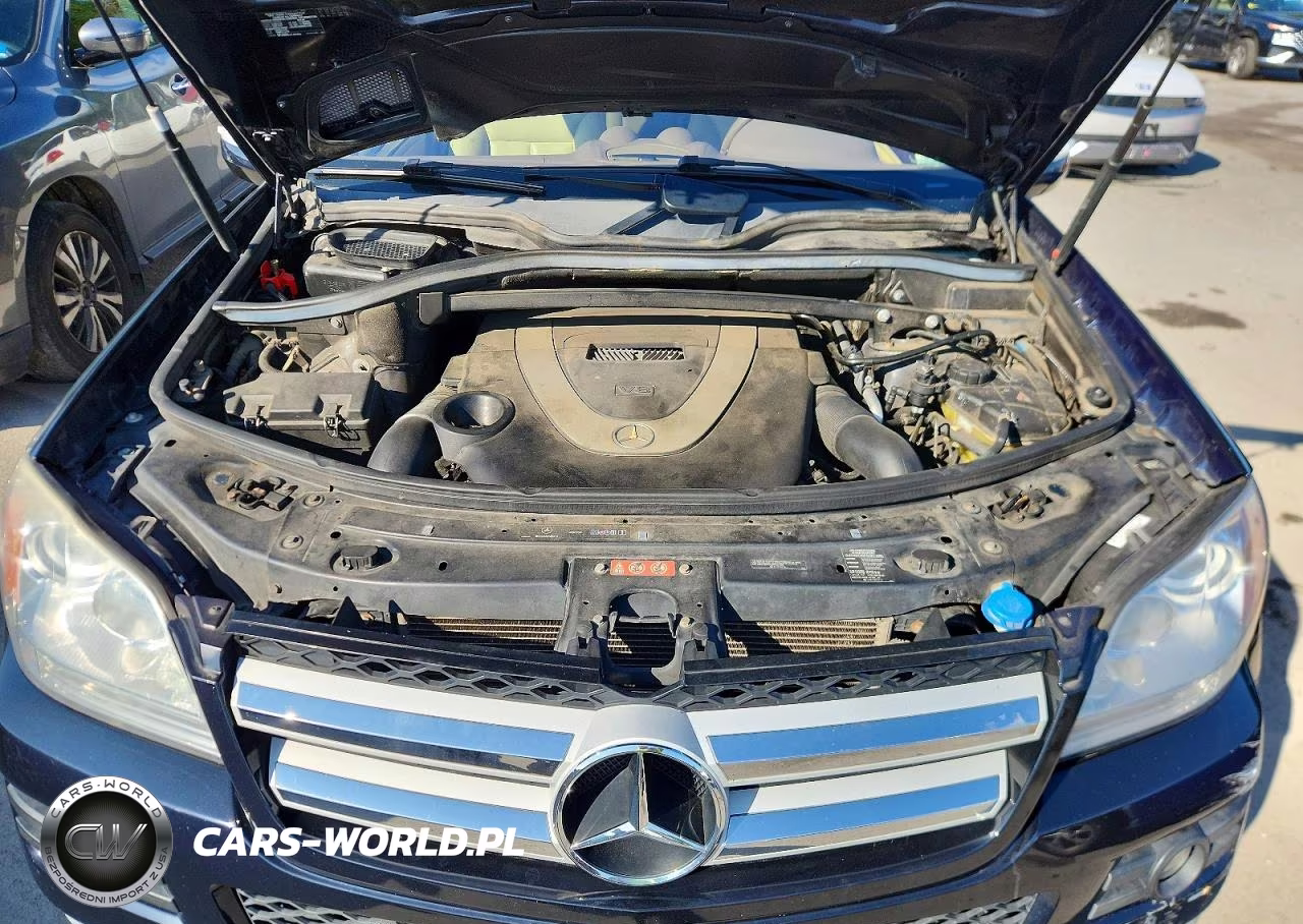 2009 Mercedes-Benz Gl 450 4Matic VIN:4JGBF71E89A504387 - 12