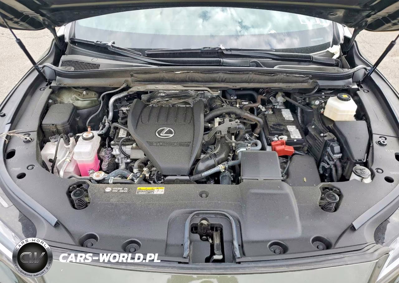 2025 Lexus Rx 350 Premium VIN:2T2BAMCA1SC119536 - 12