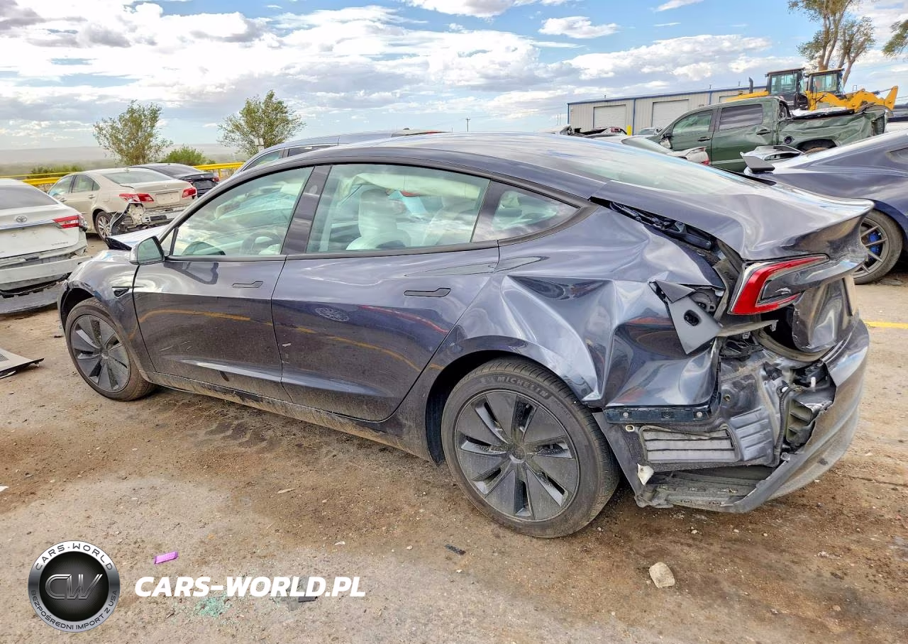 2025 Tesla Model 3 VIN:5YJ3E1EA1SF973351 - 2