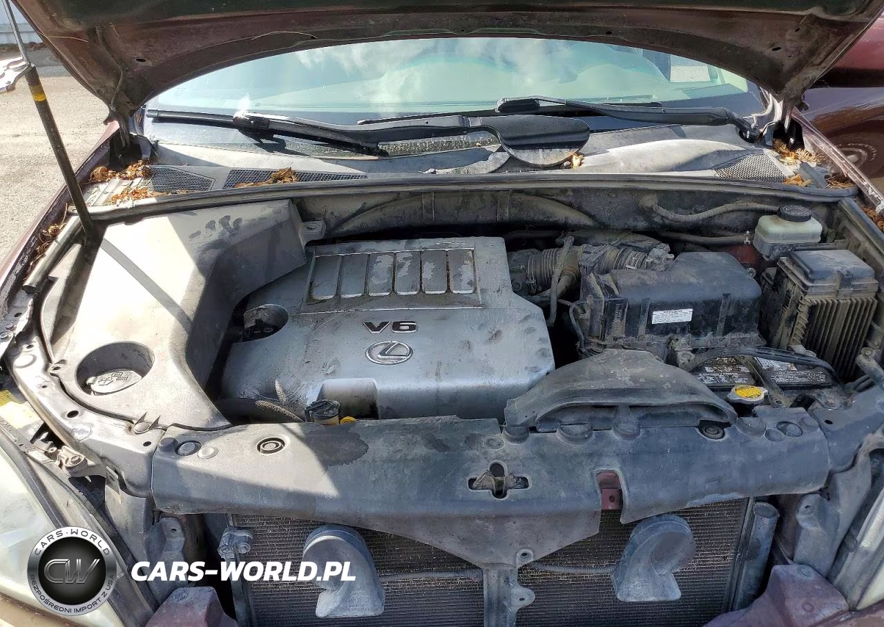 2008 Lexus Rx 350 VIN:JTJHK31U682854651 - 12