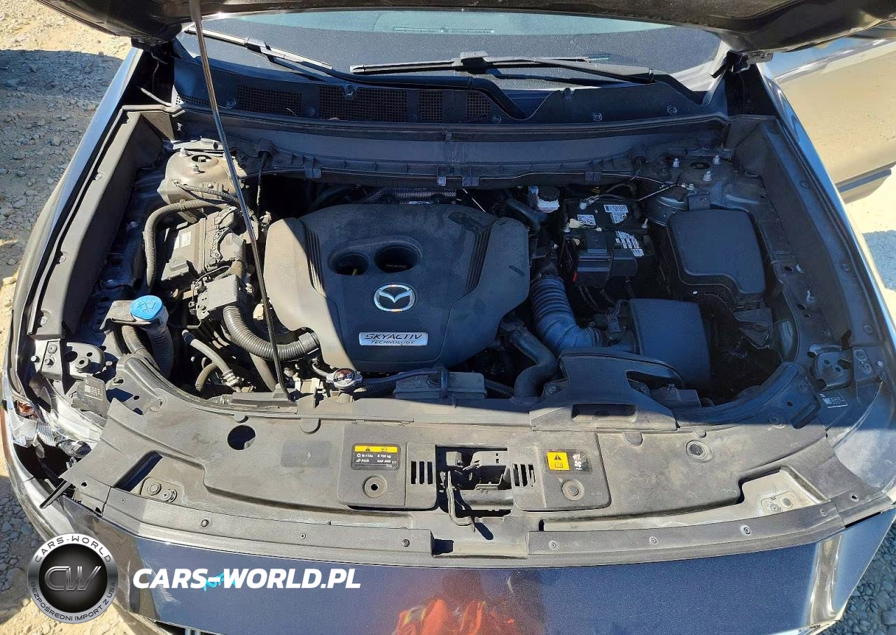 2019 Mazda Cx-9 Sport VIN:JM3TCABY1K0313629 - 12