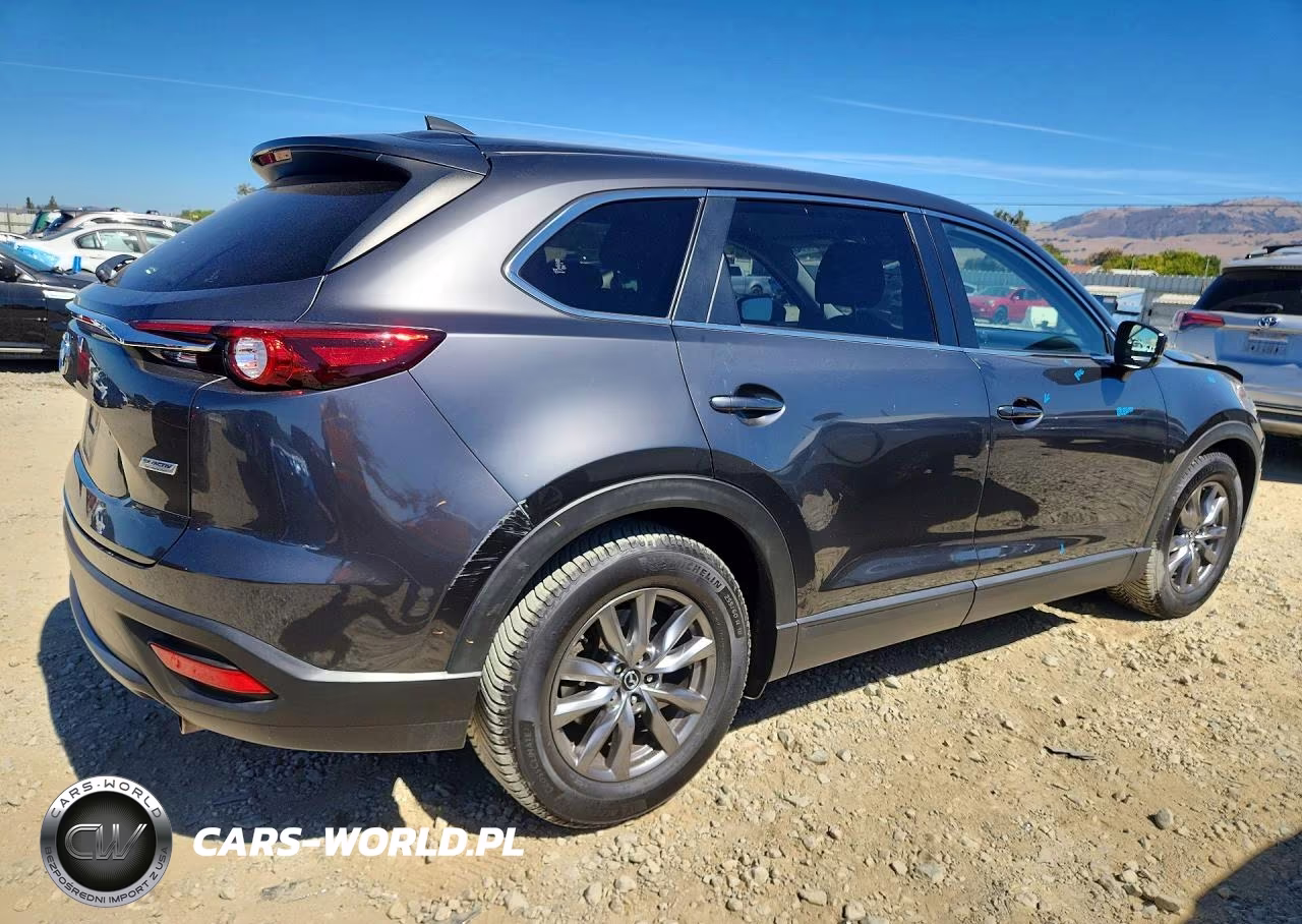 2019 Mazda Cx-9 Sport VIN:JM3TCABY1K0313629 - 3