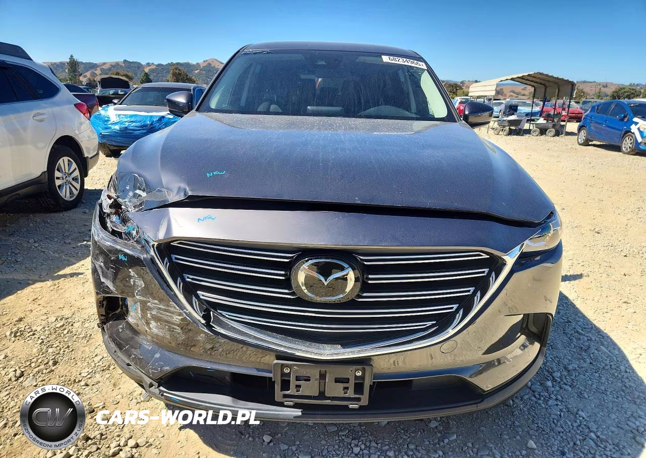 2019 Mazda Cx-9 Sport VIN:JM3TCABY1K0313629 - 5