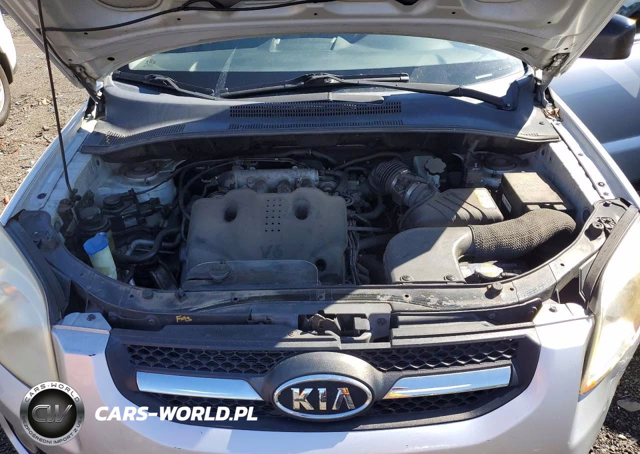 2009 Kia Sportage Lx VIN:KNDJE723897565056 - 12