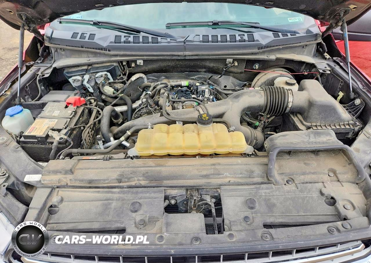 2019 Ford F150 Supercrew VIN:1FTEW1CP9KKF29621 - 11
