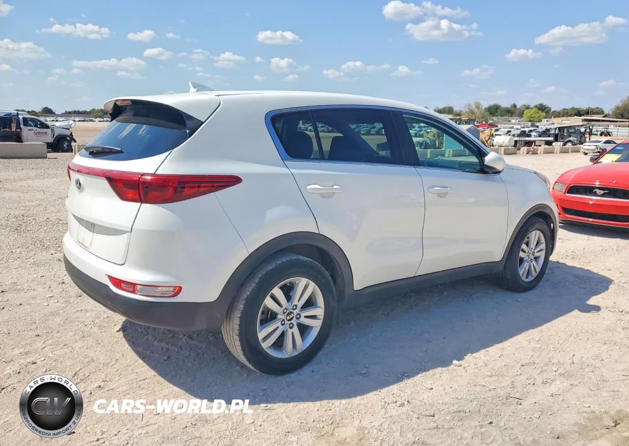 2019 Kia Sportage Lx VIN:KNDPM3AC6K7552416 - 3