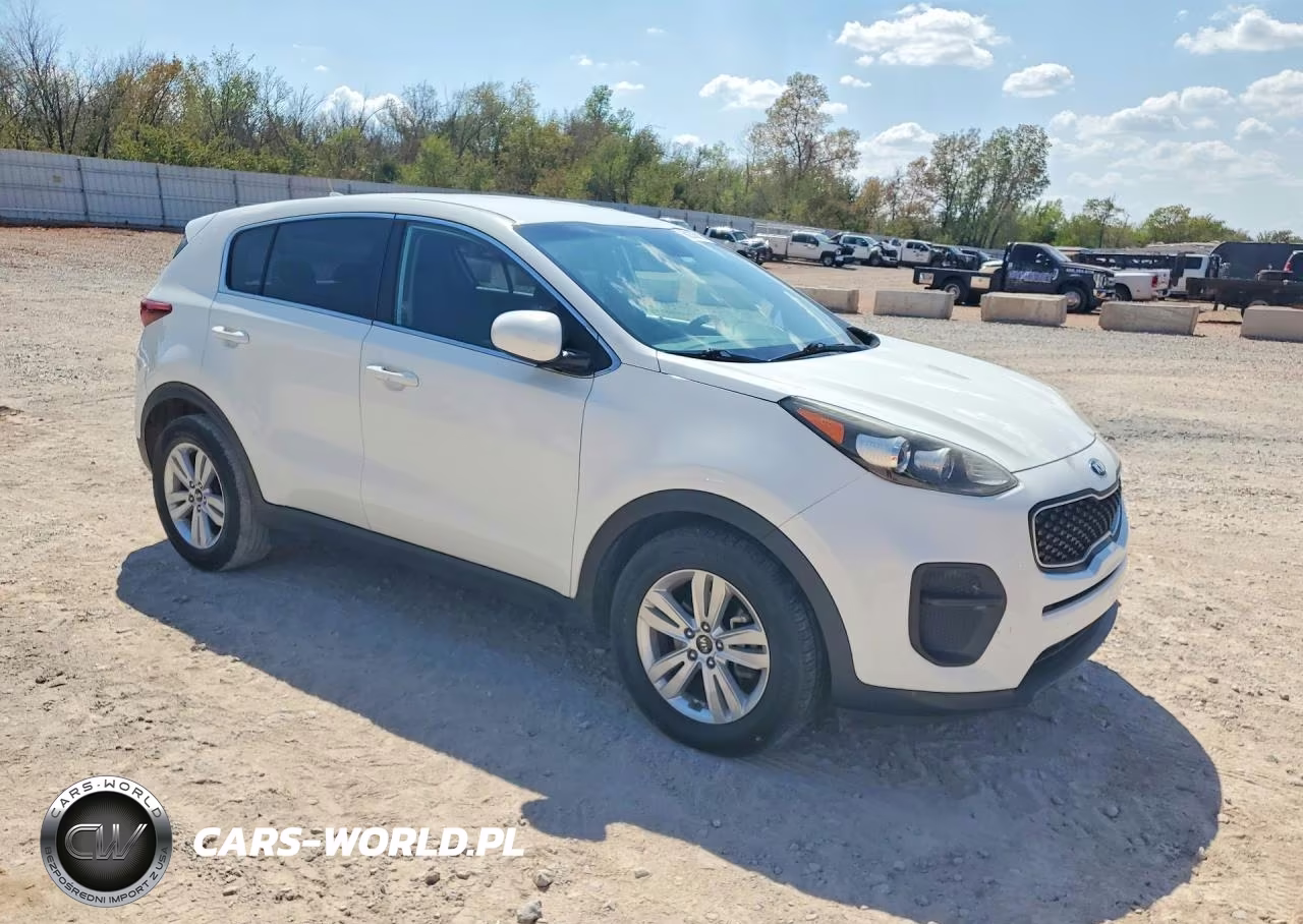 2019 Kia Sportage Lx VIN:KNDPM3AC6K7552416 - 4
