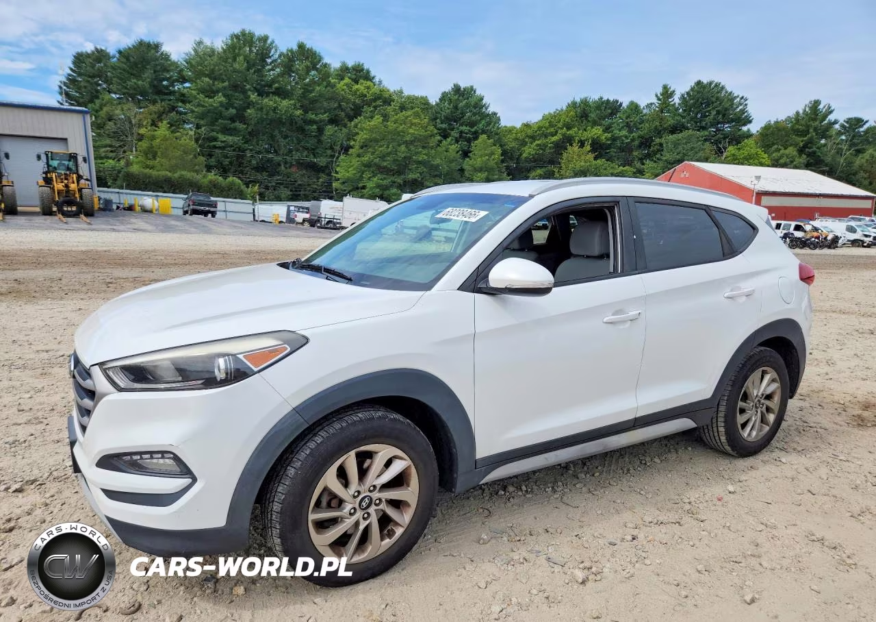 2017 Hyundai Tucson Eco VIN:KM8J3CA26HU506879 - 1