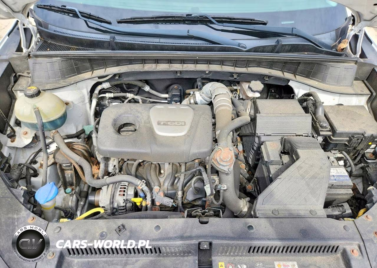 2017 Hyundai Tucson Eco VIN:KM8J3CA26HU506879 - 12