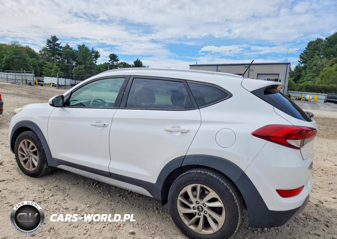 2017 Hyundai Tucson Eco VIN:KM8J3CA26HU506879 - 2