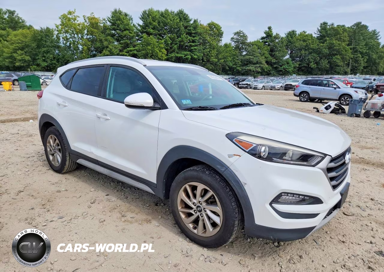 2017 Hyundai Tucson Eco VIN:KM8J3CA26HU506879 - 4