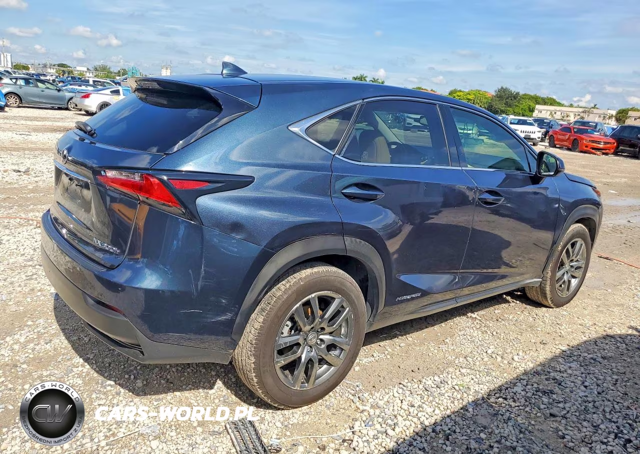 2015 Lexus Nx 300H Base VIN:JTJYWRBZ9F2008190 - 3
