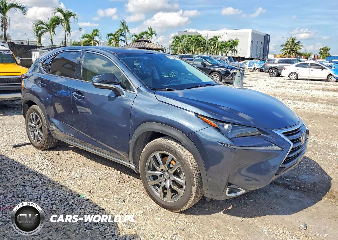 2015 Lexus Nx 300H Base VIN:JTJYWRBZ9F2008190 - 4