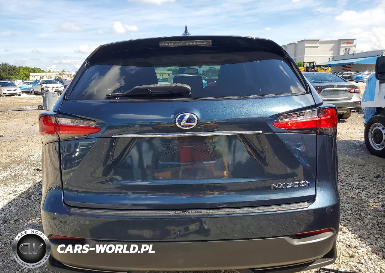 2015 Lexus Nx 300H Base VIN:JTJYWRBZ9F2008190 - 6