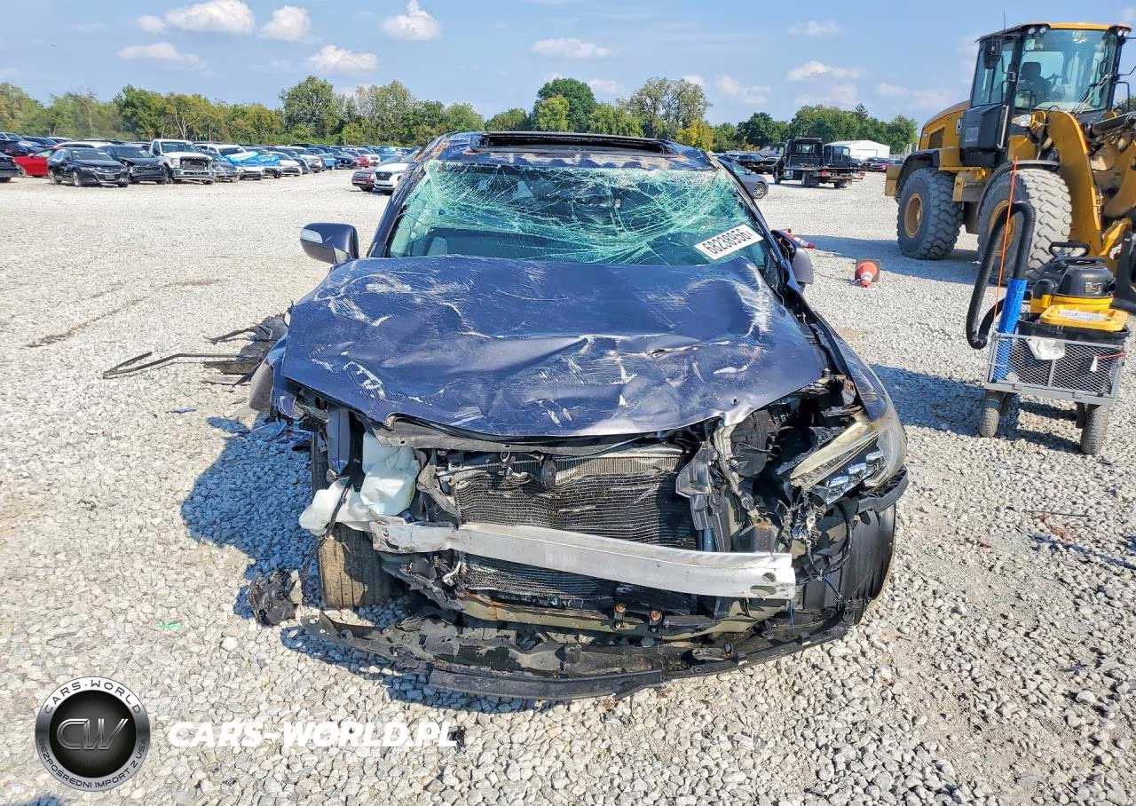 2017 Acura Rdx Technology VIN:5J8TB4H51HL007291 - 5
