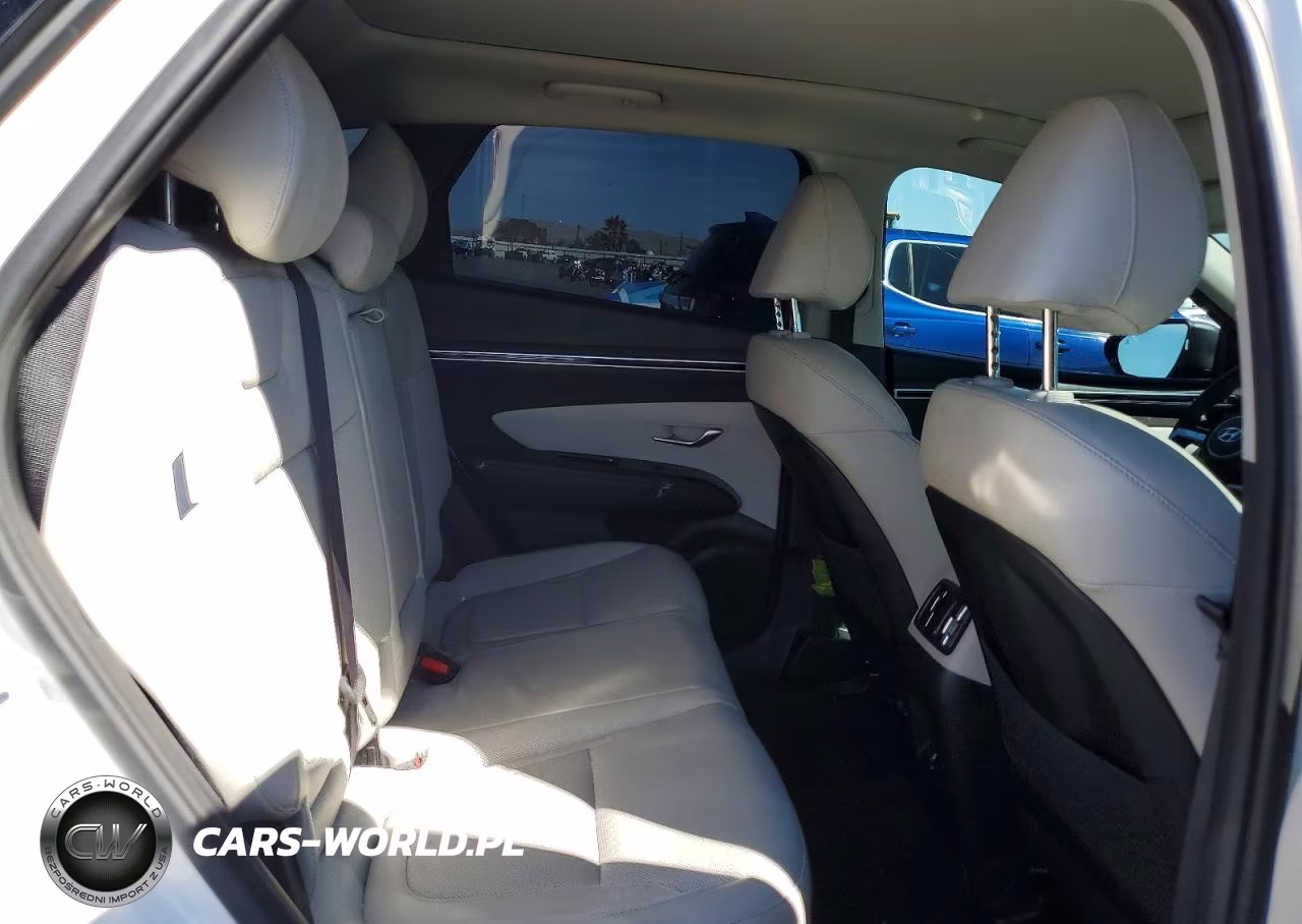 2024 Hyundai Tucson Limited VIN:KM8JFDD21RU198529 - 11