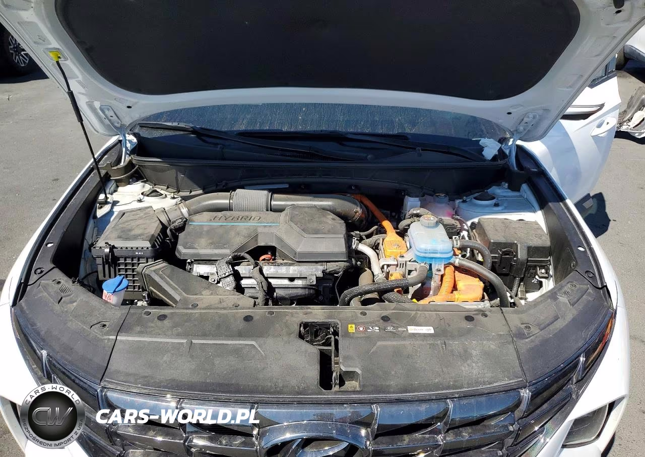 2024 Hyundai Tucson Limited VIN:KM8JFDD21RU198529 - 12
