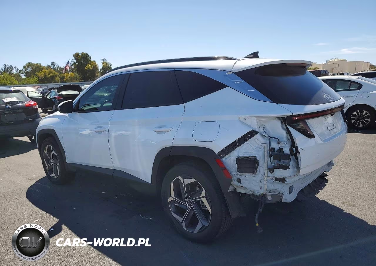 2024 Hyundai Tucson Limited VIN:KM8JFDD21RU198529 - 2