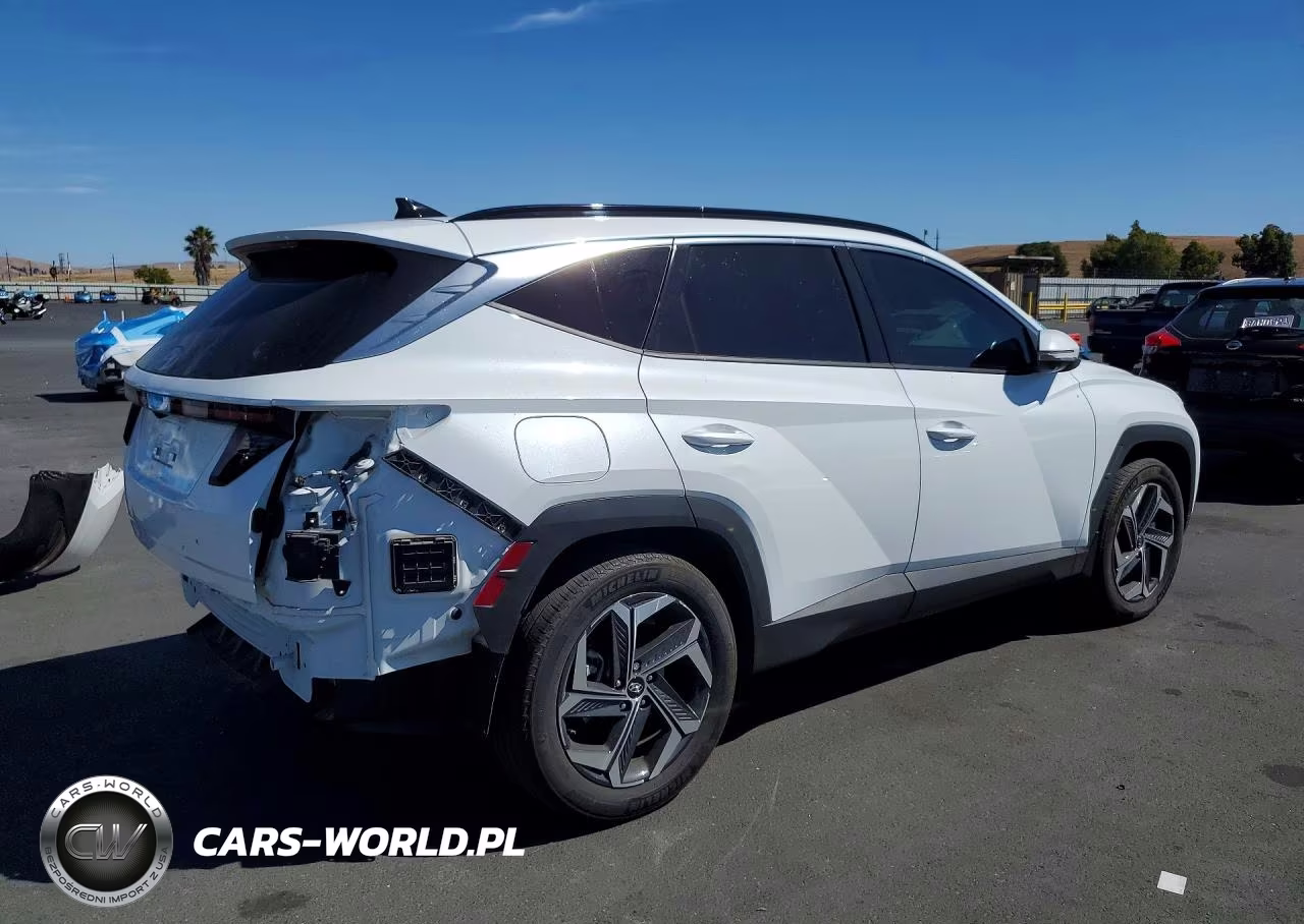 2024 Hyundai Tucson Limited VIN:KM8JFDD21RU198529 - 3