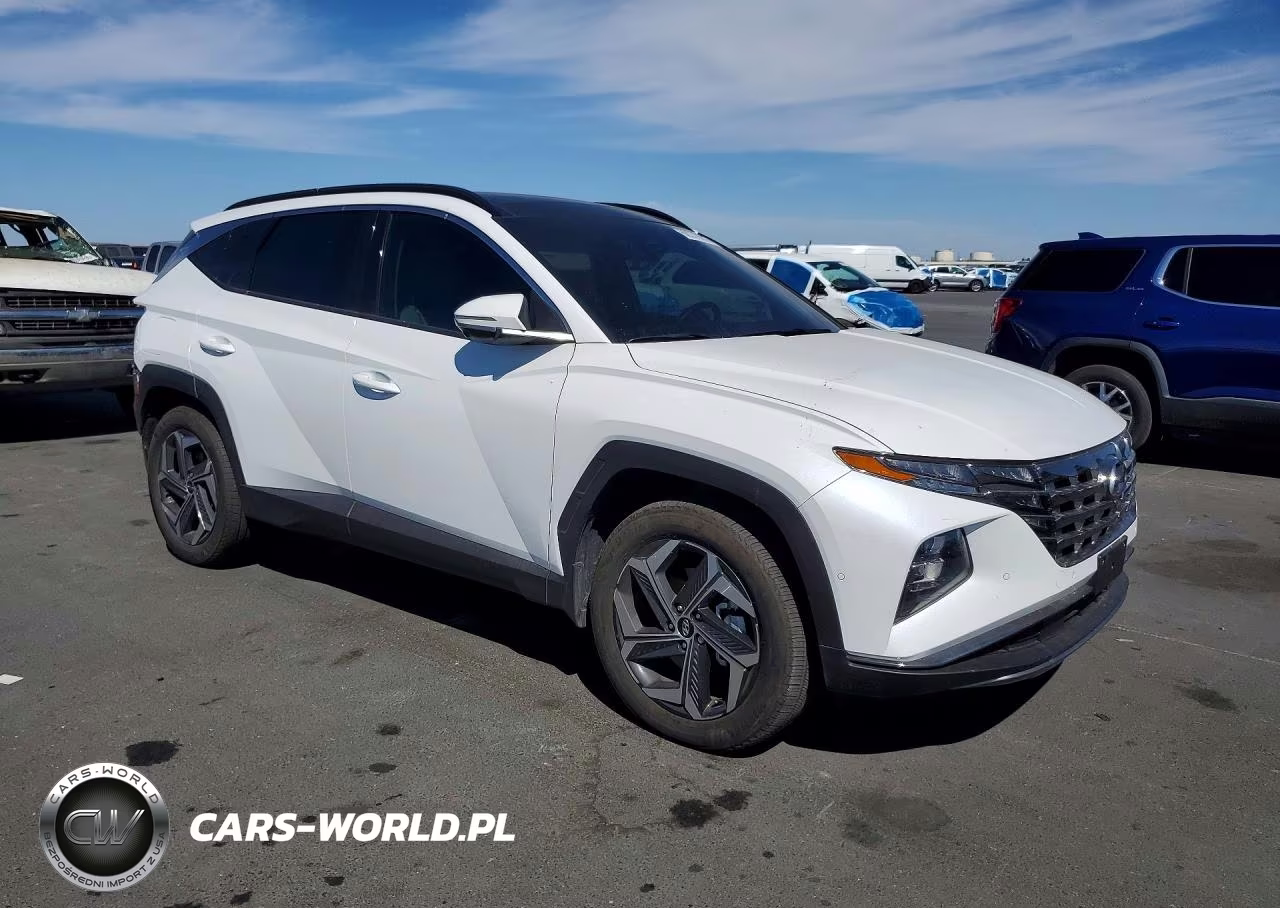 2024 Hyundai Tucson Limited VIN:KM8JFDD21RU198529 - 4