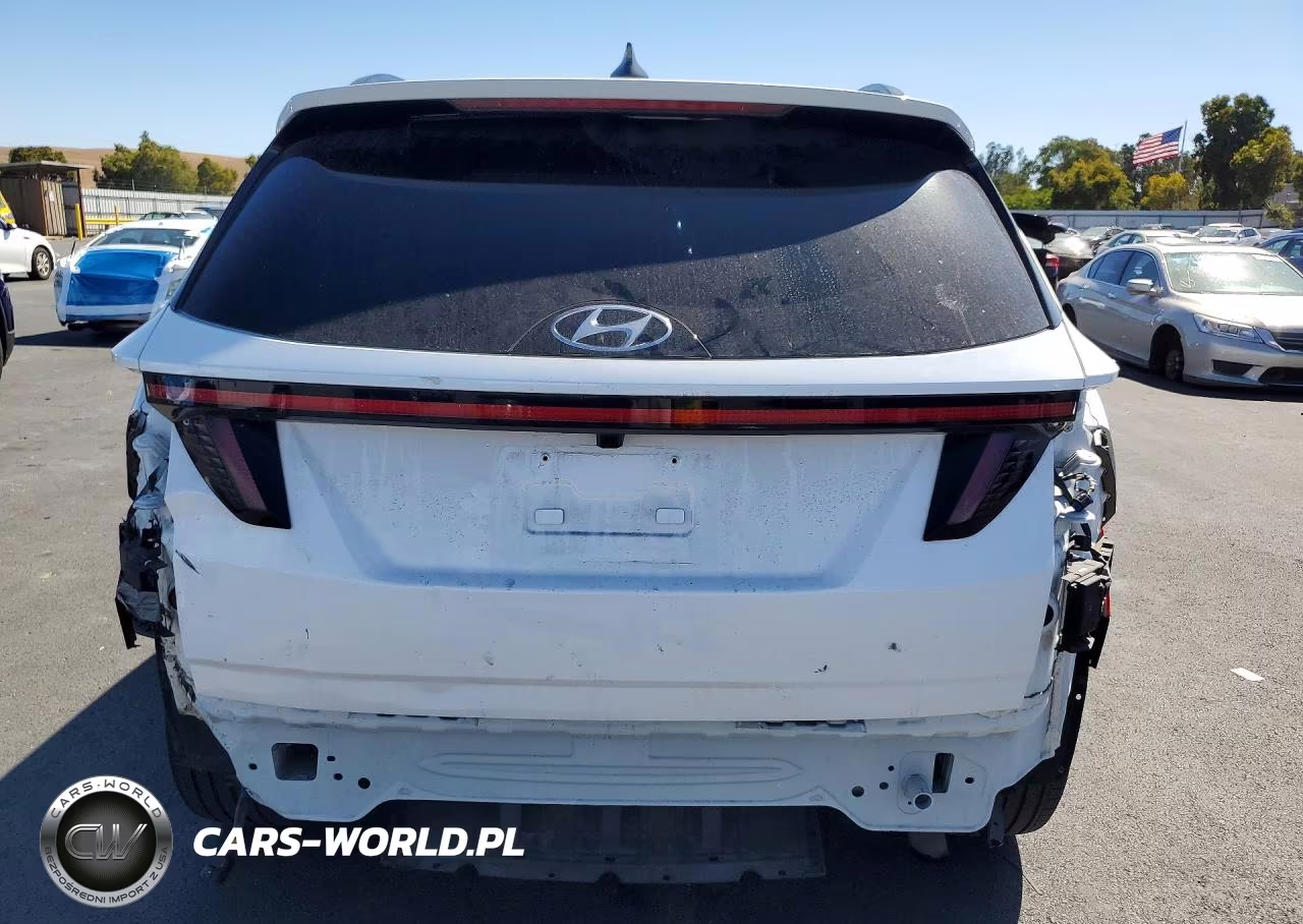 2024 Hyundai Tucson Limited VIN:KM8JFDD21RU198529 - 6