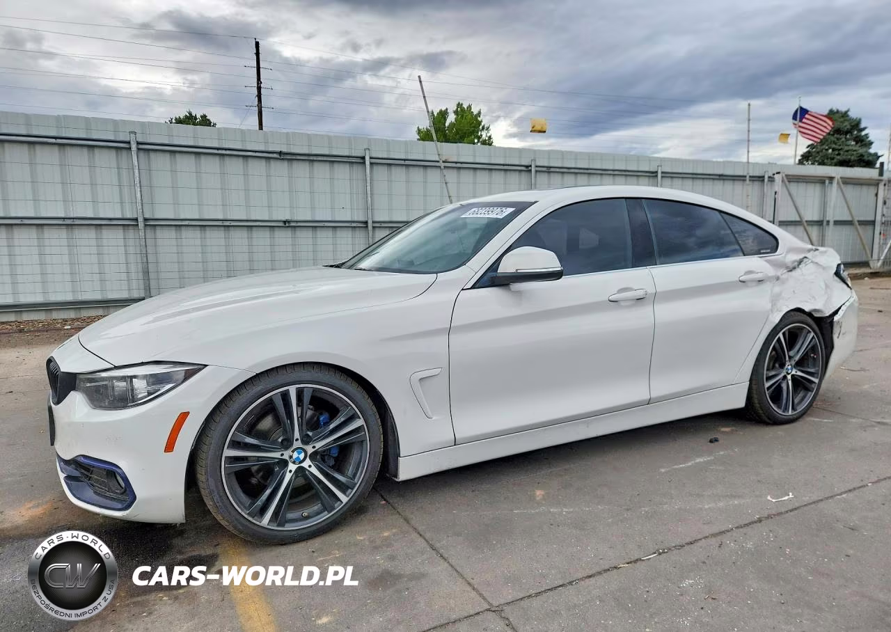 2019 BMW 430I Gran Coupe VIN:WBA4J1C50KBM17683 - 1