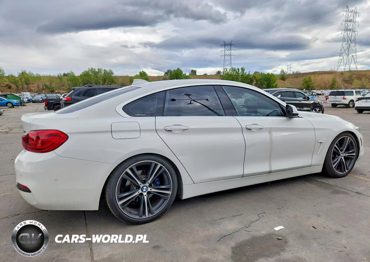 2019 BMW 430I Gran Coupe VIN:WBA4J1C50KBM17683 - 3