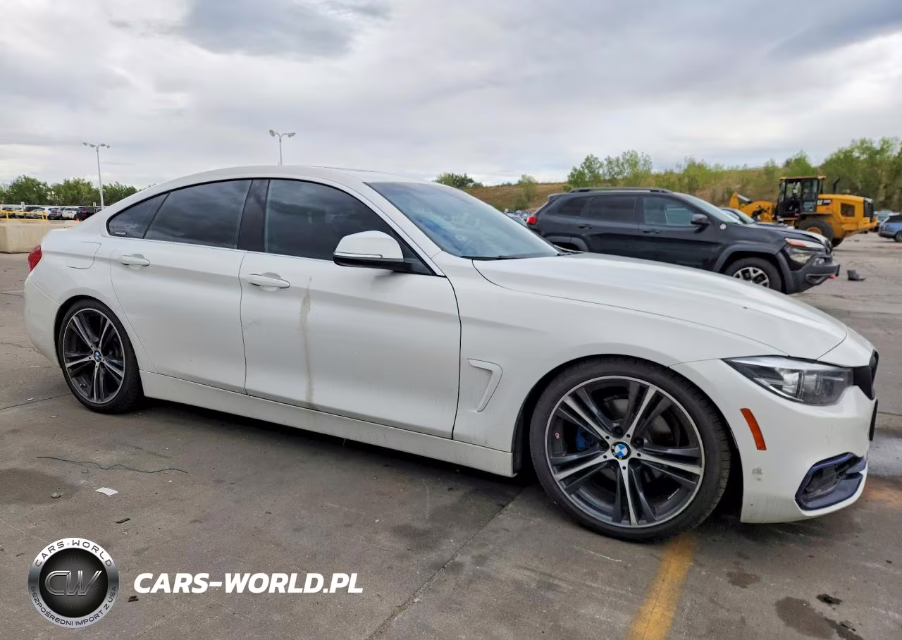 2019 BMW 430I Gran Coupe VIN:WBA4J1C50KBM17683 - 4
