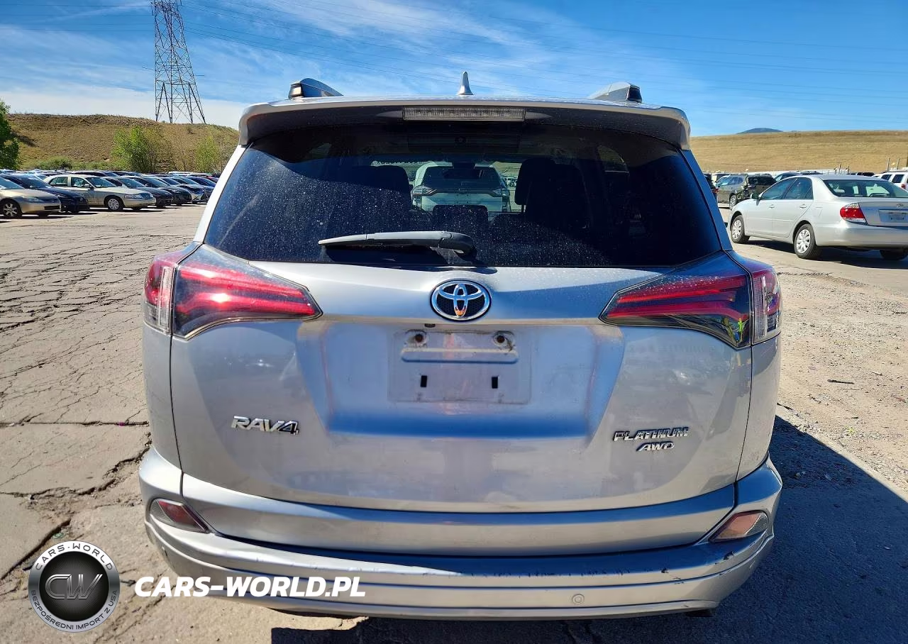 2017 Toyota Rav4 Platinum VIN:2T3DFREV8HW554869 - 6