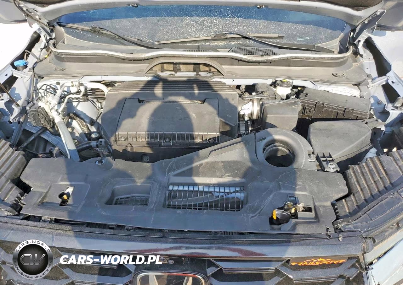 2024 Honda Pilot Trailsport VIN:5FNYG1H63RB019573 - 12
