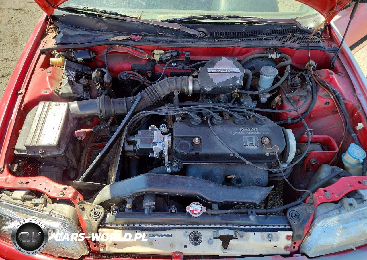 1991 Honda Civic Dx VIN:2HGED6359MH585961 - 11